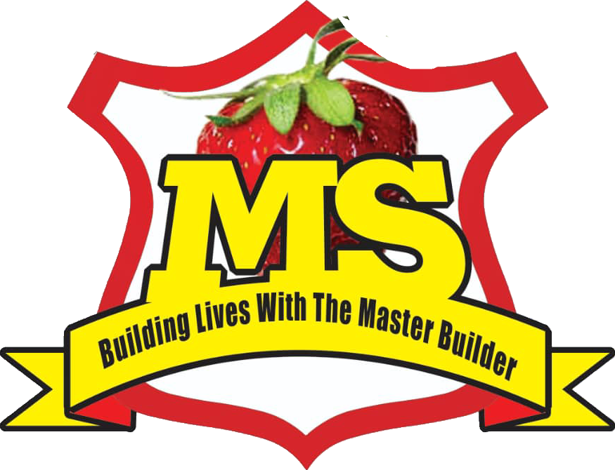 Primary Logo